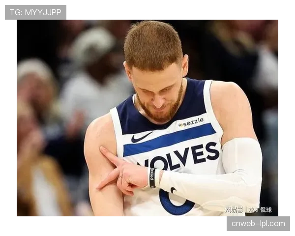 迪文琴佐外线手感炽热命中五记三分助森林狼火力全开