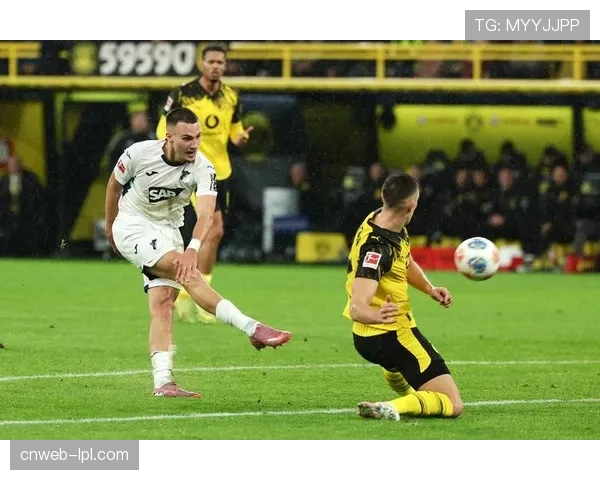 多特蒙德2-0完胜霍芬海姆，布兰特与施洛特贝克各入一球